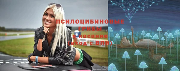 МДПВ Краснослободск