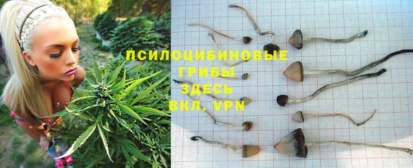 МДПВ Краснослободск